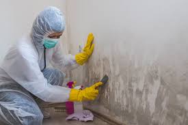 Biohazard Mold Removal in Enochville, NC